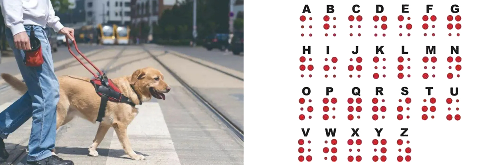 詳細(xì)圖-1.jpg 詳細(xì)圖-1.jpg